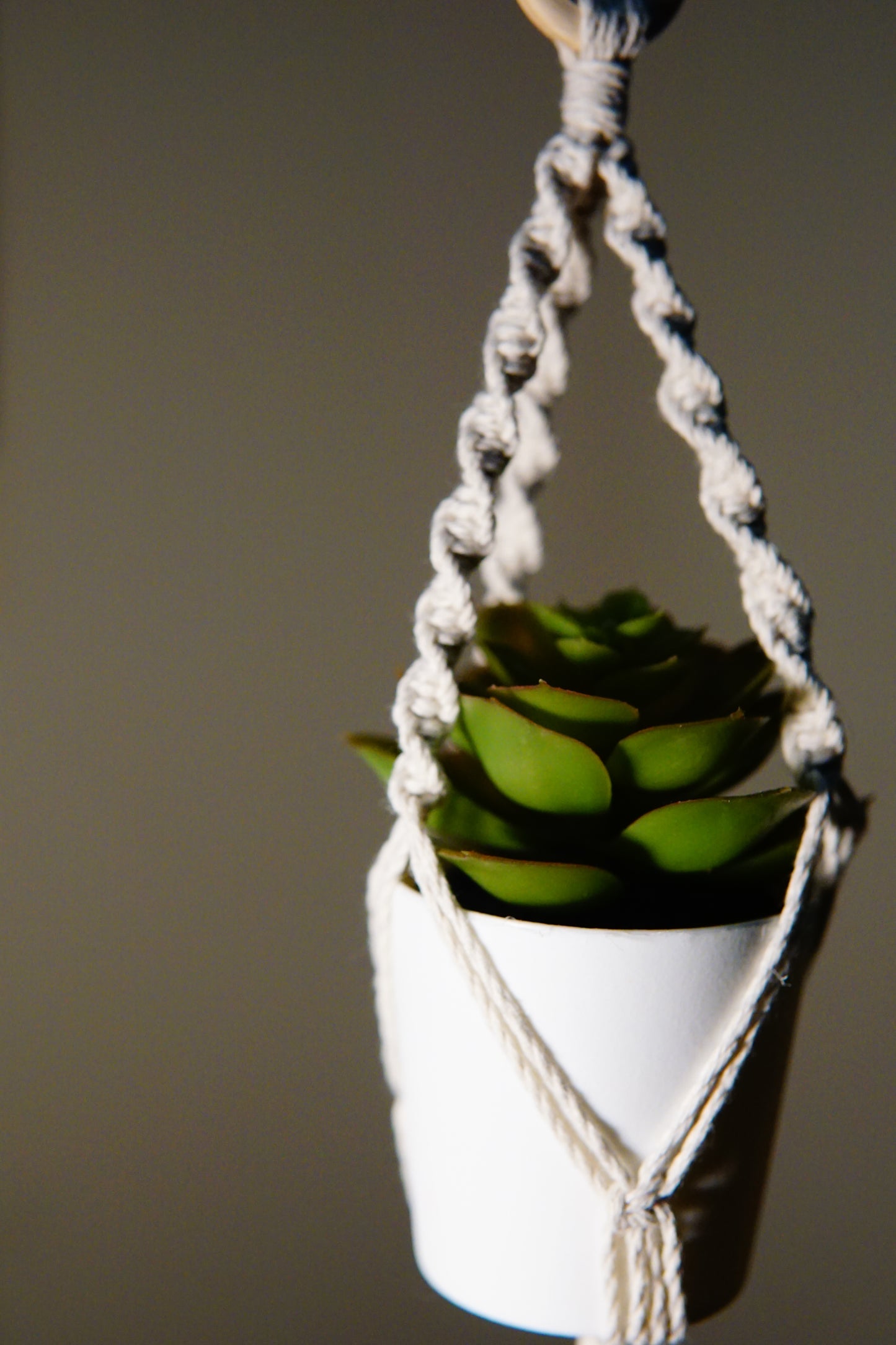 Mini Plant Hanger for Car image 2