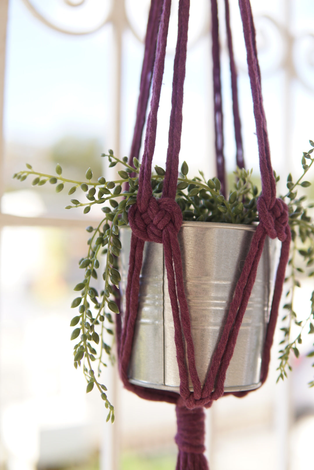Magenta Macrame Plant Hanger image 0