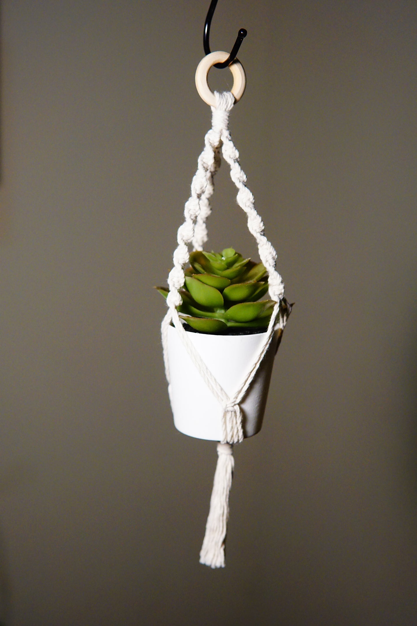 Mini Plant Hanger for Car image 1