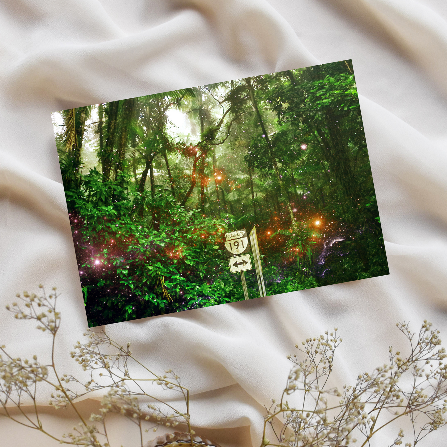 "Bosque Magico del Yunque" Photo Postcard image 0
