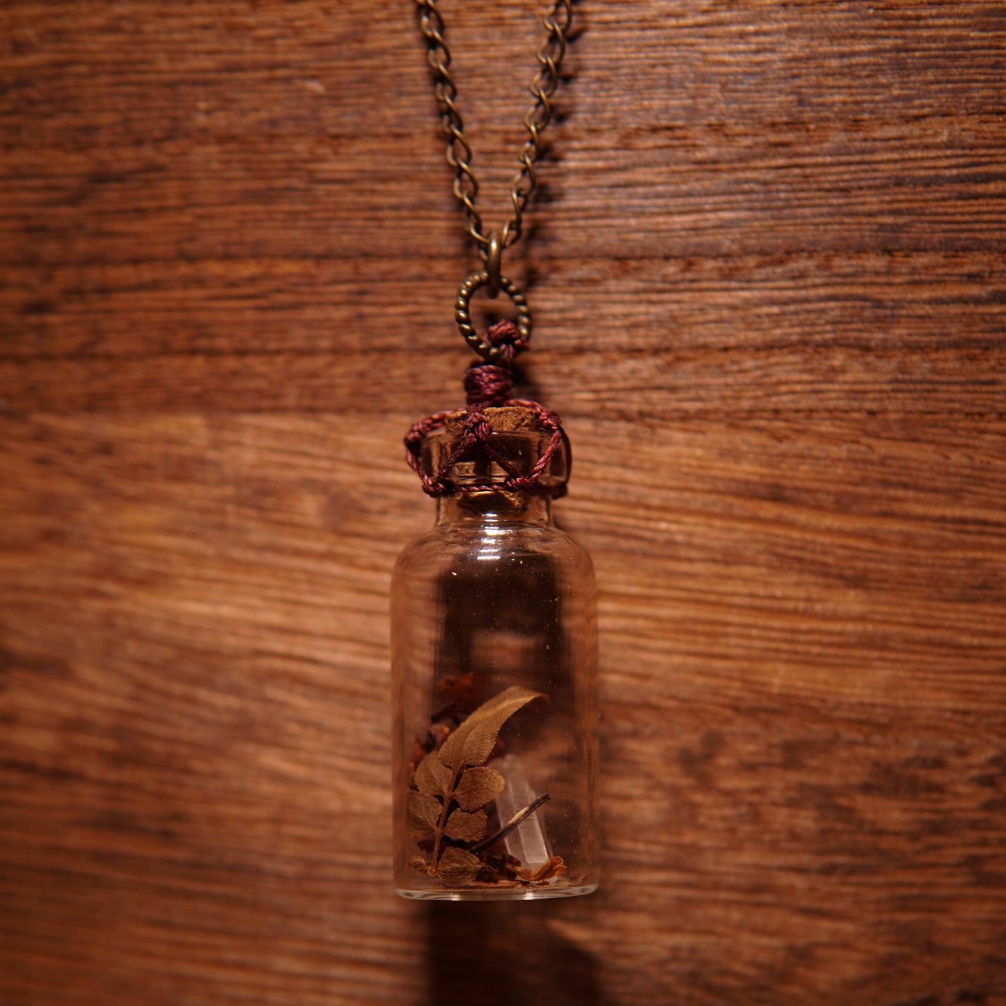 Fairy Jar Necklace