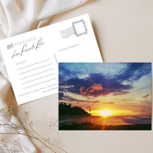 "Golden Hour" Photo Postcard image 0