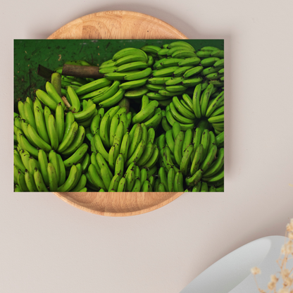 "Platanal" Photo Postcard (PREORDER) image 0