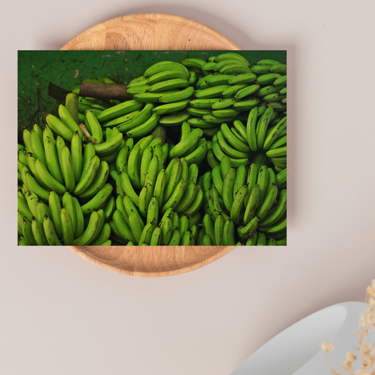 "Platanal" Photo Postcard (PREORDER) image 0