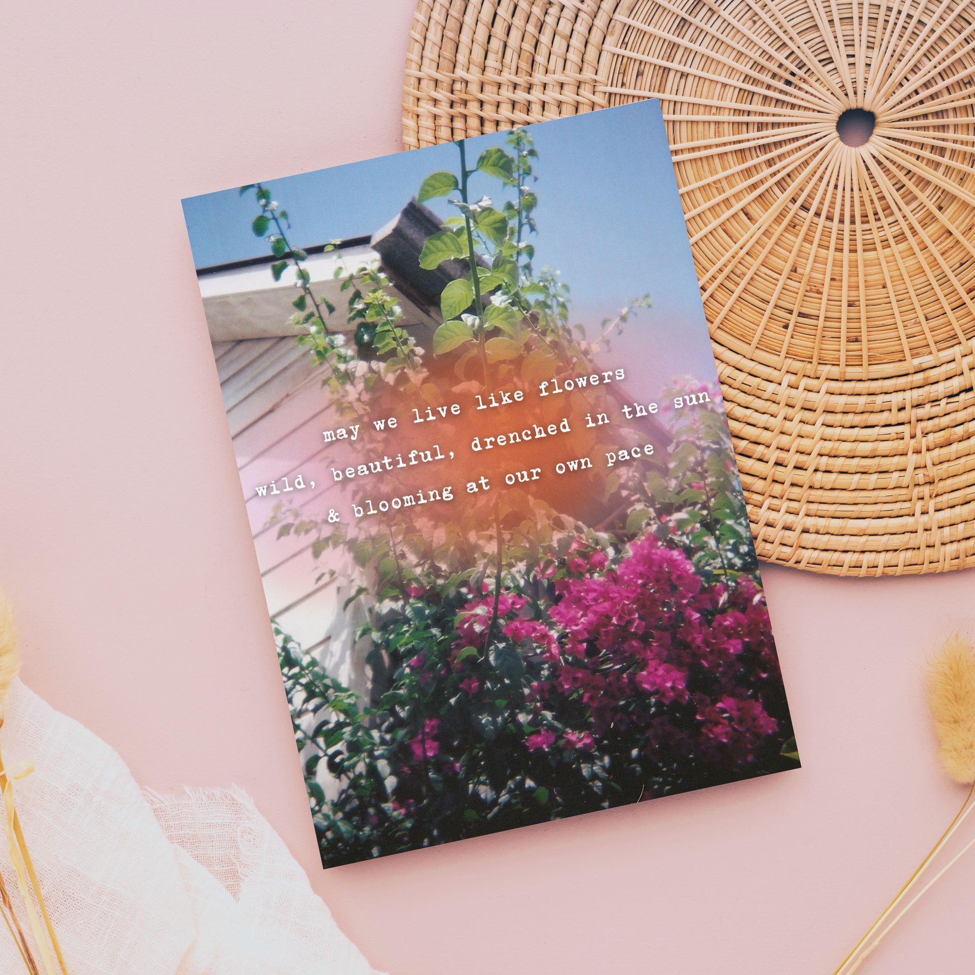 "Wildflowers" Photo Postcard image 0