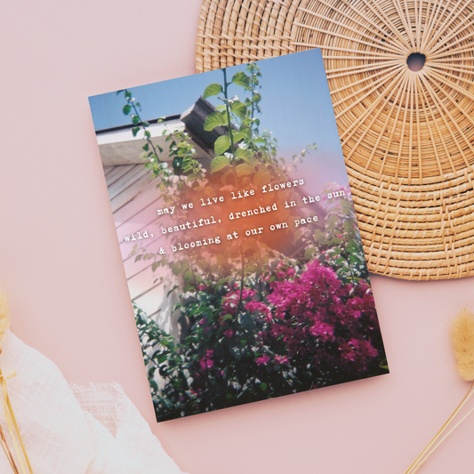 "Wildflowers" Photo Postcard image 0