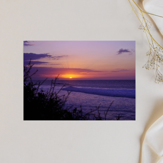 "Sunset Sherbert" Photo Postcard image 0