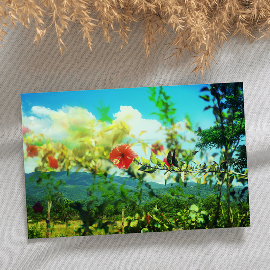 "Hogar" Photo Postcard image 0