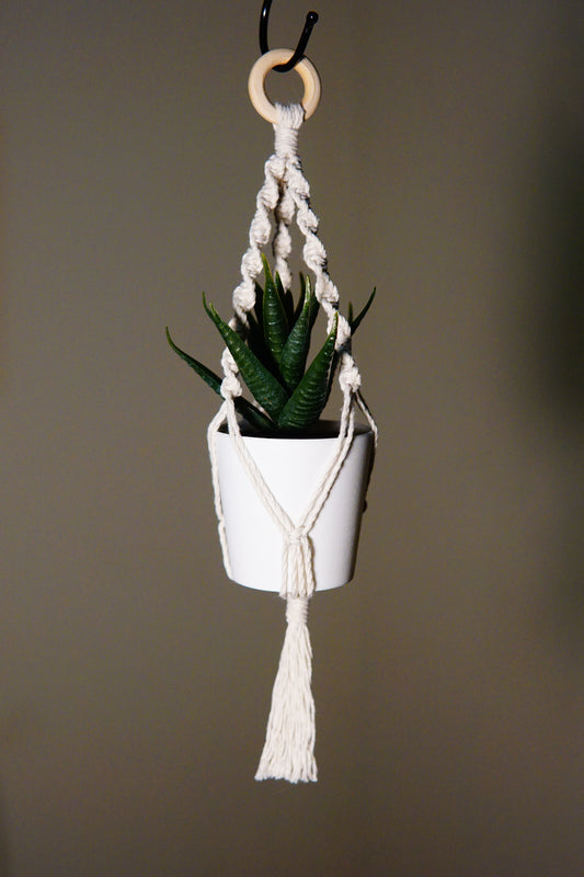 Mini Plant Hanger for Car image 0