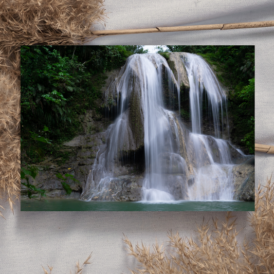 "Gozalandia" Photo Postcard image 0