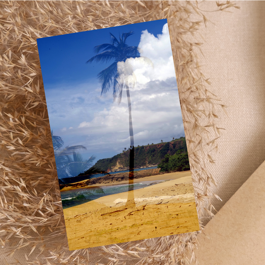 "Punta Borinquen" Photo Postcard image 0