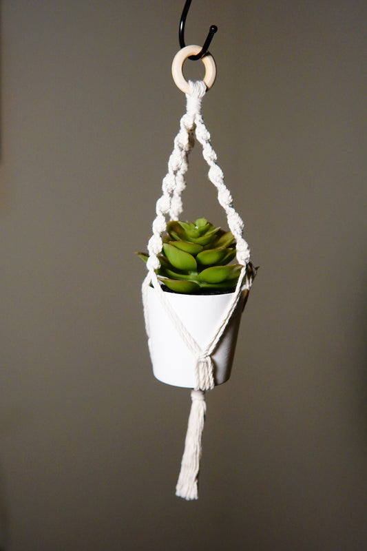 Mini Plant Hanger for Car image 1