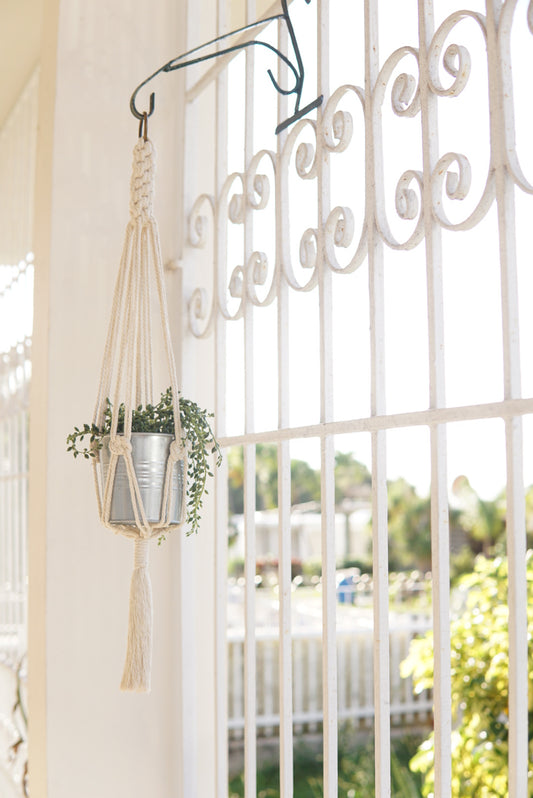 Beige Natural Macrame Plant Hanger image 0