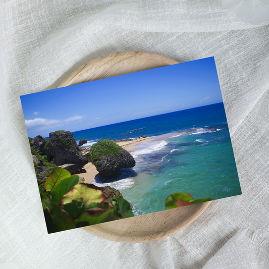 "Survivor Beach" Photo Postcard image 0