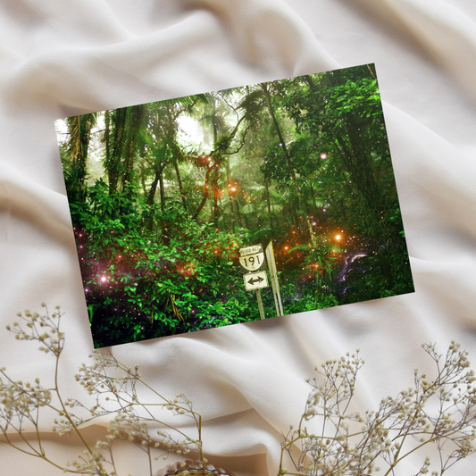 "Bosque Magico del Yunque" Photo Postcard image 0